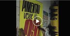 Vídeo com trabalho de cartazista viraliza nas redes