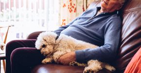 Foto: (DGLimages/istock)