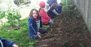 Em escola agrícola no meio da cidade, crianças aprendem a plantar o que vão comer