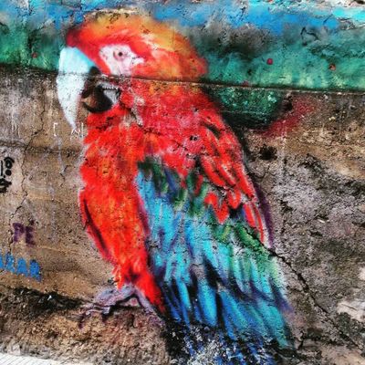 Graffiti no bairro Serra, clicado por @welderpierre