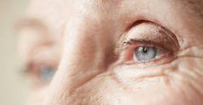 Foto: (iStock | shironosov)