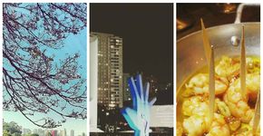 10 perfis no Instagram para desfrutar melhor a cidade de SP