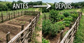 Em 1991, Monty Don comprou uma casa com um terreno abandonado de 2 acres: 35 anos depois, Longmeadow virou o jardim conhecido por milhões de pessoas na TV