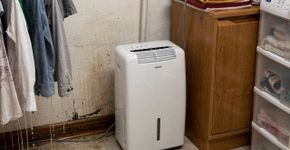 Cinco lugares na casa onde você nunca deve ligar o desumidificador