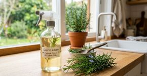É barato e faz bem para o cabelo! Como preparar e usar água de alecrim