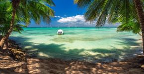 Foto: (valio84sl/iStock)