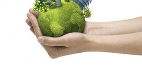 Site oferece curso gratuito sobre impactos ambientais