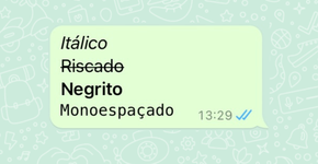 Foto: (Captura de tela do WhatsApp)