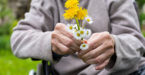 Foto: (Ocskaymark/istock)