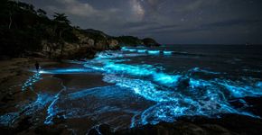 A bioluminescência marinha em risco devido ao aquecimento global