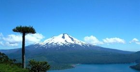 Aventura, natureza e tranquilidade na região da Araucanía, no Chile