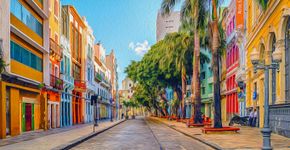 Foto: (FerreiraSilva;iStock)