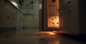 Por que o refrigerador atrai baratas para sua cozinha