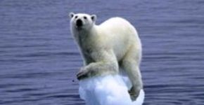 ONG promove questionário global que revela impactos das mudanças climáticas nas grandes cidades