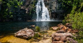Foto: (iStock)
