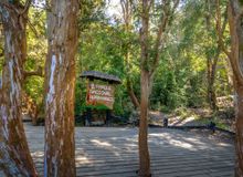 Featured side: O bosque na Patagônia argentina que virou cenário de uma lenda sobre Walt Disney