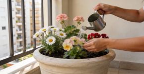 8 tipos de plantas com flores fáceis de cuidar, perfeitas para iniciantes