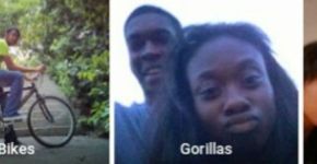 Software do Google gera polêmica ao identificar casal de negros como gorilas