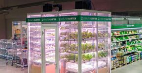Mercado cria mini-fazenda vertical dentro da própria loja