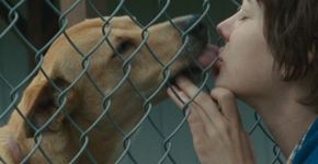 Wendy e Lucy