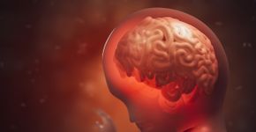 Foto: (vchal/istock)