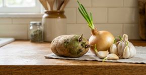 Batatas, cebolas e alho com brotos: jogar fora ou comer?