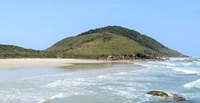 Foto: (Divulgação/Fundação Florestal)
