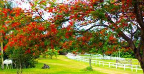 Pacotes de hospedagem para amantes do ecoturismo