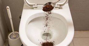 Apenas uma colher: Por que cada vez mais pessoas estão jogando borra de café no vaso sanitário