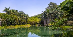 Foto: (Istock/diegograndi)