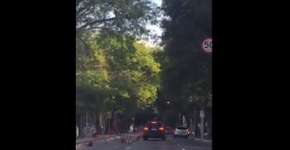 Vídeo mostra motorista derrubando cones de ciclofaixa em SP
