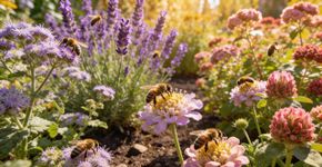 Lista de plantas melíferas: as 10 melhores para abelhas no jardim