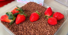 Festival do Chocolate 2026 by Chocolândia apresenta novidades gastronômicas e sabores surpreendentes