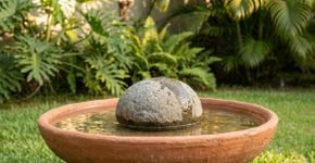 Por isso, agora todo jardim deveria ter um prato com uma pedra