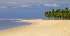 Foto: (luoman/iStock)