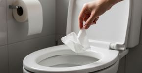 Demorei muito para entender por que o papel higiênico não deve ser jogado no vaso sanitário