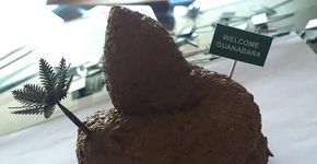 Artista vai enviar ‘cocô’ a políticos como souvenir