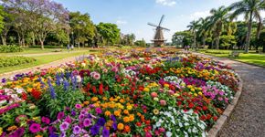 Um parque de 250 mil metros quadrados se transforma todos os anos em um gigantesco jardim: A atração Brasileira onde uma edição reuniu 272 mil hastes e mais de 3.500 variedades de flores e plantas ornamentais