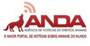 Em decisão histórica França altera Código Civil e reconhece animais como seres sencientes