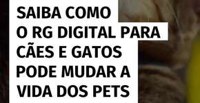 RG digital para pets promete transformar a vida de cães e gatos