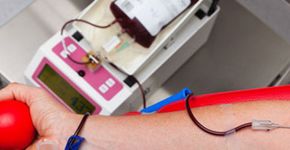 Campanha pede o fim da lei que proíbe LGBTs de doarem sangue