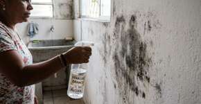 Nada de água sanitária ou detergente: a melhor maneira de eliminar o mofo de paredes e tetos