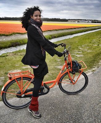Nos campos de Tulipas em Lisse, Holanda