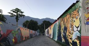 Foto: (Divulgação)