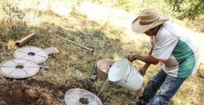 Foto: (Reprodução/Land Life Company)