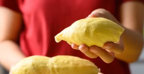 Foto: (Nungning20/istock)