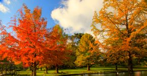 Foto: (agustavop/iStock)