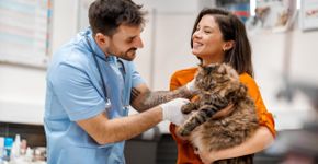 Entenda os impactos da castração no comportamento de cães e gatos