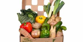 Feios por fora, bonitos (e deliciosos) por dentro: iniciativa contra o desperdício de alimentos