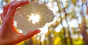 Foto: (Ekaterina Chizhevskaya/iStock)